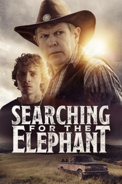 Searching for the Elephant-free