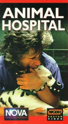 Animal Hospital-free