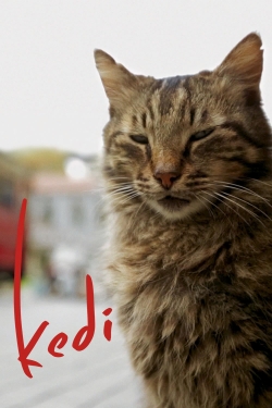 Kedi-free