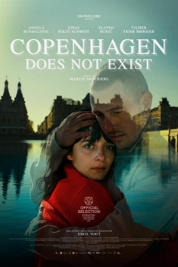 Copenhagen Does Not Exist-free